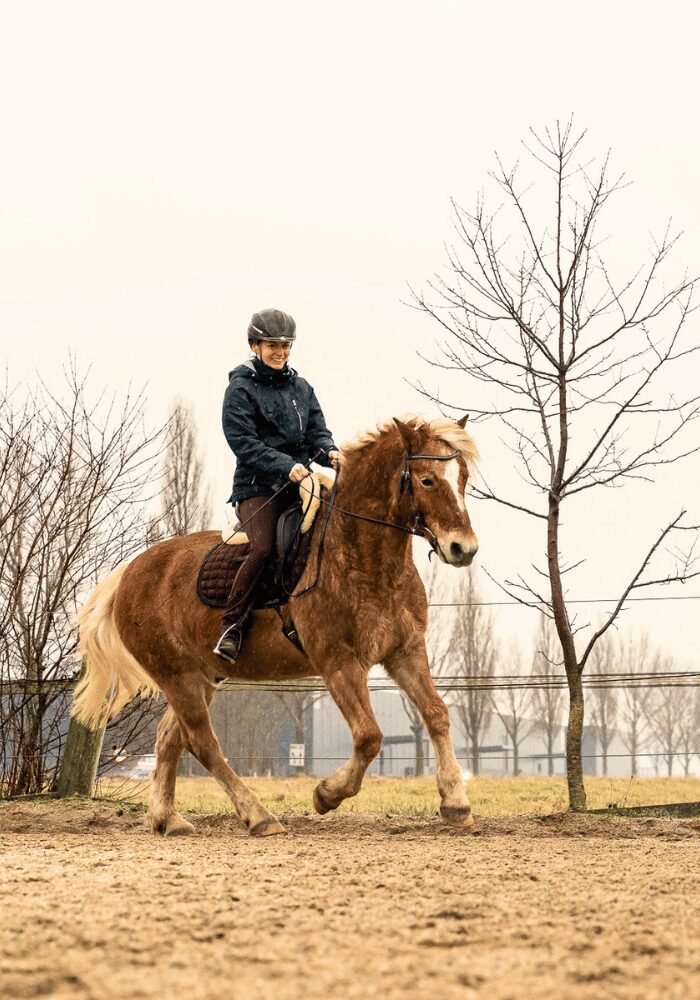 Julia Grün auf ihrem Haflinger Filou auf dem Reitplatz.